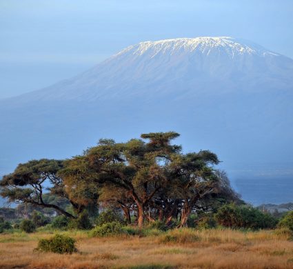 Kilimanjaro 1 - o